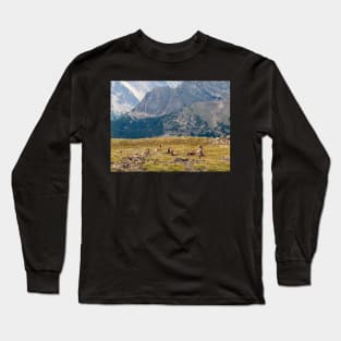 Bighorn Sheep in Rocky Mountains National Park Long Sleeve T-Shirt